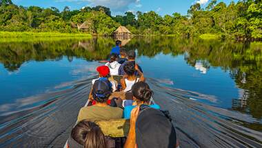 Bioeconomy in the Amazon: forest preservation, income generation and support for sustainable development