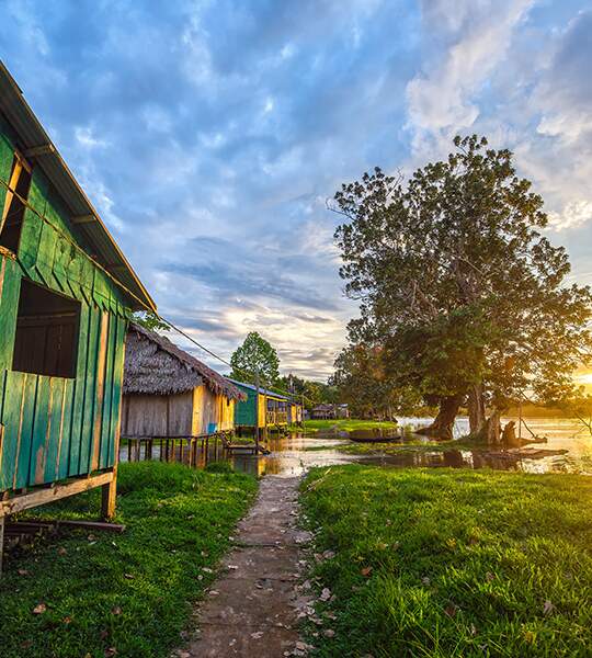 Bioeconomy in the Amazon: forest preservation, income generation and support for sustainable development