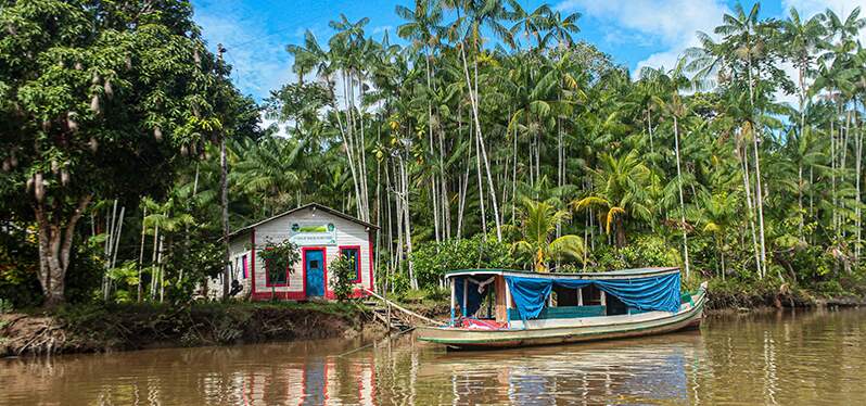 Una Concertación por la Amazonía busca soluciones para la conservación y el desarrollo sostenible de la Amazonia. Foto: Adobe Stock