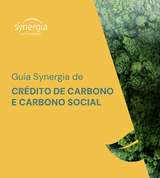 Guia Synergia de Crédito de Carbono e Carbono Social