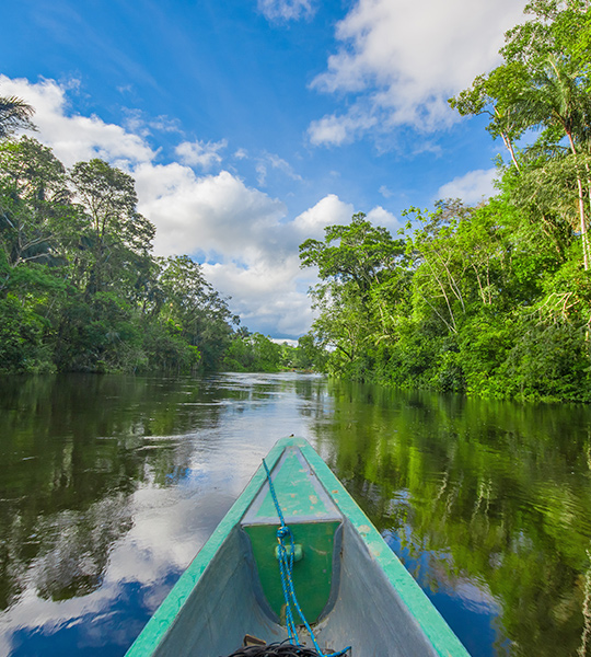 Uma Concertação pela Amazônia: iniciativa reúne organizações pelo desenvolvimento sustentável do território