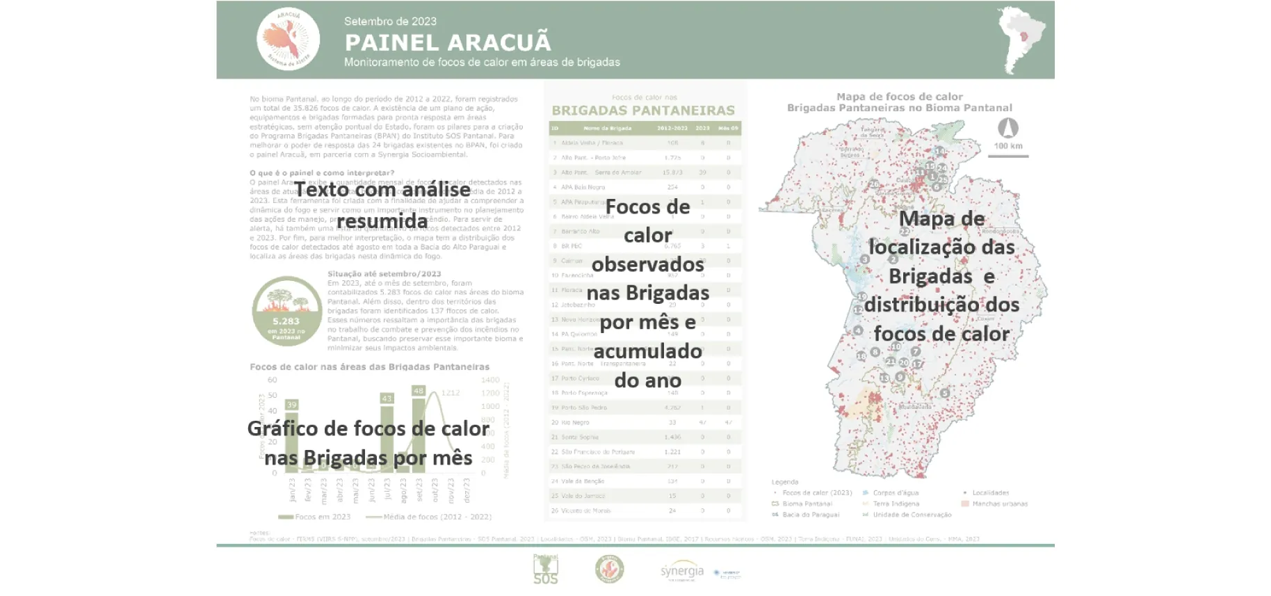Aracuã Panel: monitoring hot spots in the Pantanal