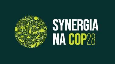 Synergia at COP28