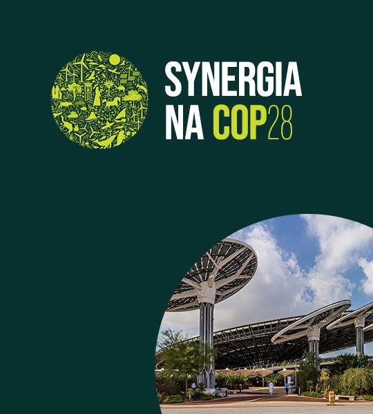 Synergia na COP28