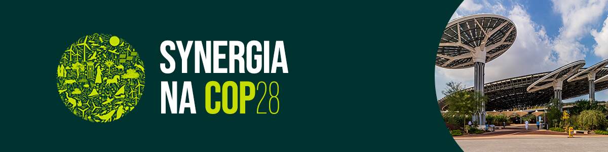 Synergia na COP28