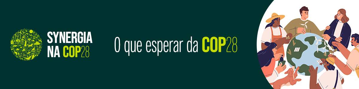 O que esperar da COP 28 