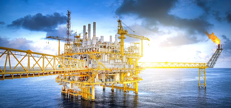 Foto de la planta: Adobe Stock