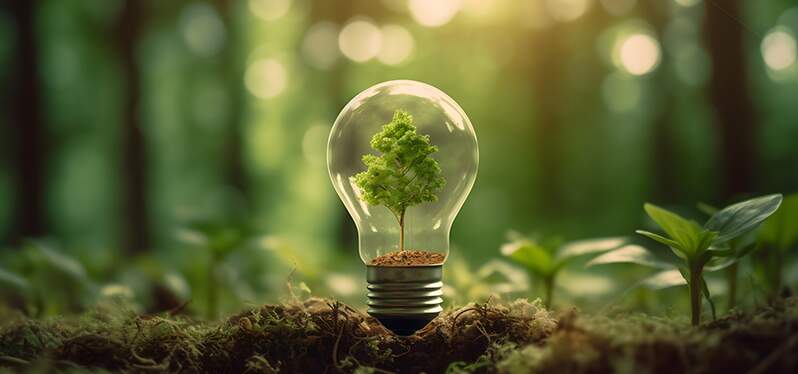 Soluciones sostenibles para el medio ambiente.  Foto: Adobe Stock