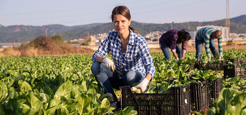 Atuação das mulheres na agricultura familiar. Foto: Adobe Stock