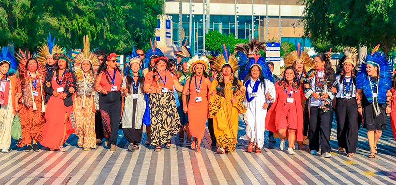 Participação de representantes indígenas na COP28. Foto: Leo Otero Estevam