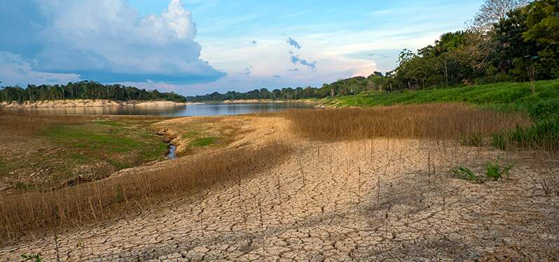 Seca na Região Norte Dia da Floresta e do Clima Foto: Adobe Stock