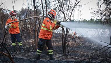 Incêndios no Pantanal: Parque Estadual Encontro das Águas, principal refúgio das onças-pintadas, é a área mais atingida