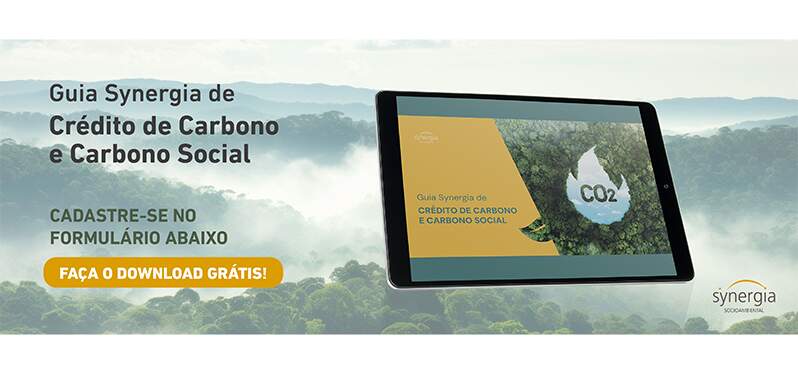 Guía Synergia sobre créditos de carbono y carbono social