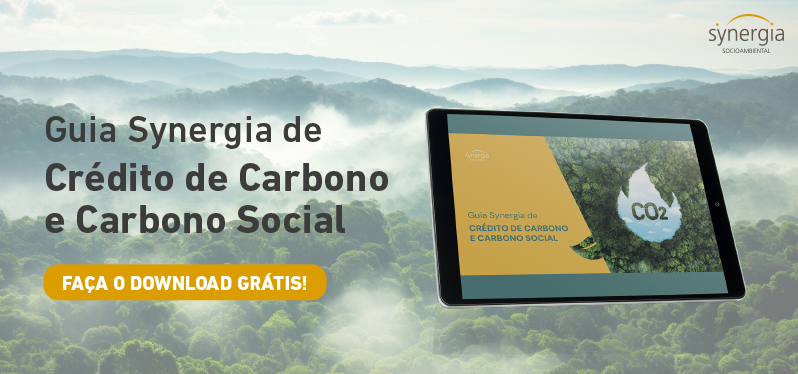Guia Synergia de Crédito de Carbono e Carbono Social - Download grátis 