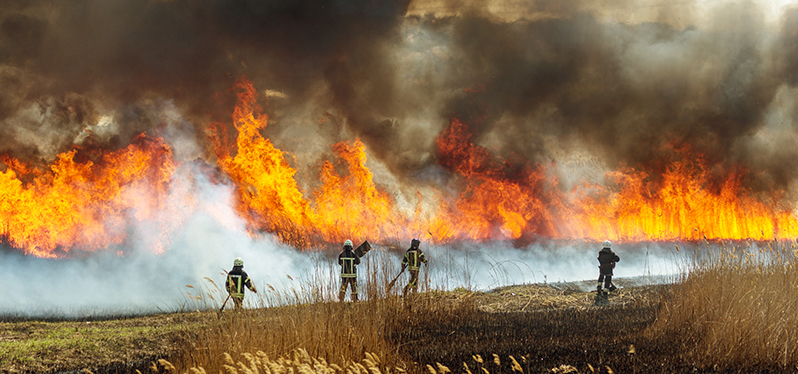 Incêndios florestais impactam nas mudanças do clima. Foto: Adobe Stock