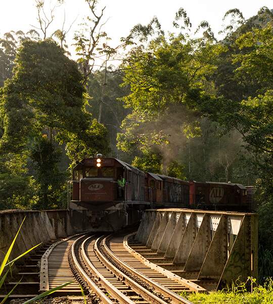 Especialistas da Synergia Socioambiental debatem a expansão da malha ferroviária em artigo destaque na mídia