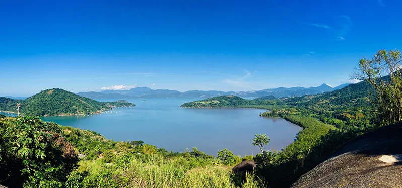 Conservação da Mata Atlântica. Foto: Adobe Stock