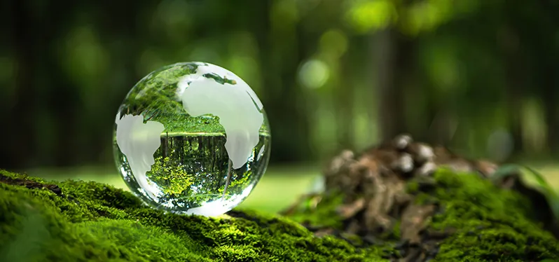 Synergia debate licenciamento ambiental no e-Mineração. Foto: Adobe Stock