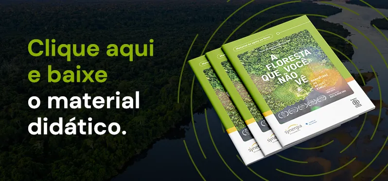 Imagem para download do material diático.