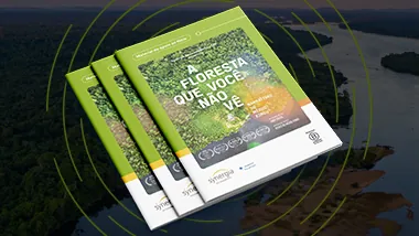 Material didático de apoio ao documentário “A Floresta que você não vê – Narrativas do Médio Xingu”