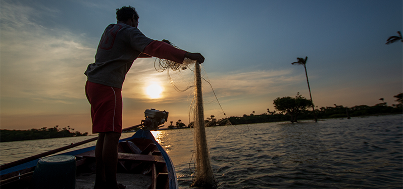Pessoa em uma embarcação lança uma rede de pesca sobre um corpo d’água ao entardecer. O sol baixo no horizonte ilumina a cena, com árvores e vegetação parcialmente inundadas ao fundo.