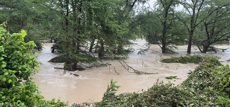 Área arborizada alagada por água barrenta, com correnteza entre árvores, galhos submersos e vegetação acumulada nas margens.